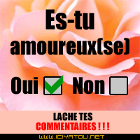oui  ou non ?