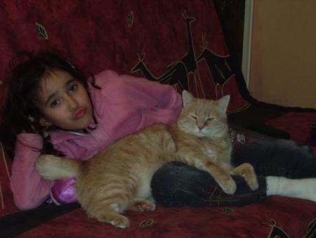 mon chat  mose